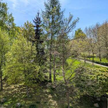 Foto - Wohnung zum Mieten in Freiberg 422,00 € 67 m²