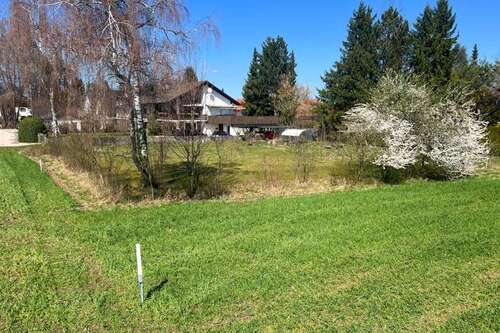 Foto - Grundstück zu verkaufen in Seeshaupt 520.000,00 € 450 m²