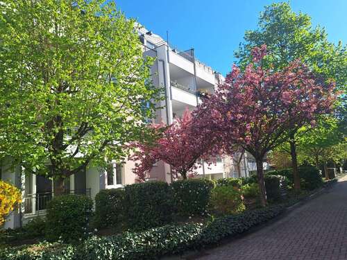 Foto - Büro in Frankfurt 1.130,00 € 80 m²