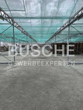 Foto - Halle in Rahden 5.840,60 € 3893.73 m²