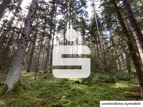 Foto - Grundstück in Pfreimd 25.000,00 € 6580 m²