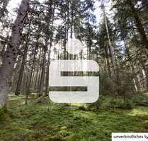 Grundstück in Pfreimd 25.000,00 € 6580 m²