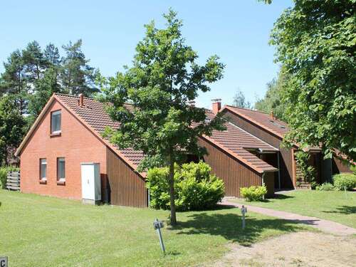 Foto - Haus zum Kaufen in Boltenhagen 310.000,00 € 62.55 m²