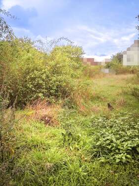 Foto - Grundstück zu verkaufen in Hallstadt 148.950,00 € 331 m²