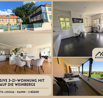 Wohnung zum Mieten in Radebeul 1.950,00 € 151 m²