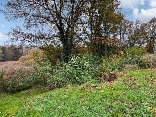 Foto - Grundstück zu verkaufen in Münchweiler an der Rodalb 90.000,00 € 1195 m²