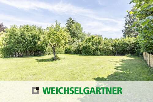Foto - Grundstück zu verkaufen in Finsing 400.000,00 € 454 m²