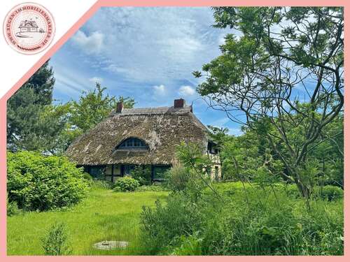 Foto - Haus zum Kaufen in Dreschvitz 475.000,00 € 190 m²