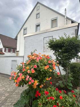 Foto - Haus zum Kaufen in Löchgau 995.000,00 € 551 m²