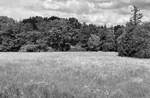 Foto - Grundstück in Frankfurt am Main 4.200.000,00 € 5084 m²