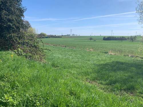 Foto - Grundstück in Frankfurt am Main 4.800.000,00 € 5084 m²