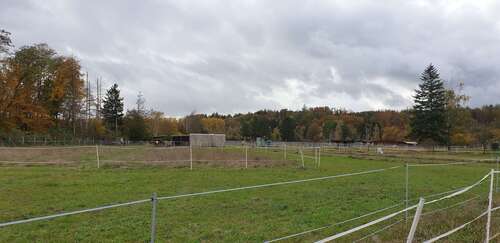 Foto - Wohnung zum Kaufen in Augsburg 2.180.000,00 € 314 m²