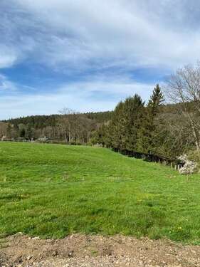 Foto - Grundstück zu verkaufen in Roetgen Rott 649.000,00 € 4189 m²