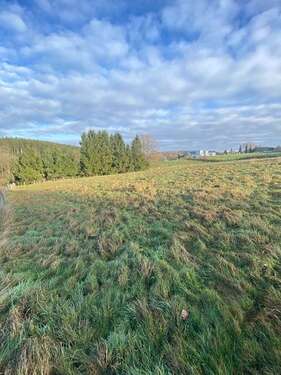 Foto - Grundstück zu verkaufen in Roetgen Rott 649.000,00 € 4189 m²