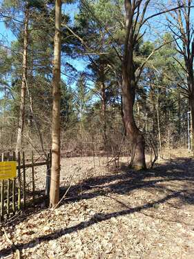 Foto - Grundstück zu verkaufen in Mittenwalde OT Töpchin 210.000,00 € 1651 m²