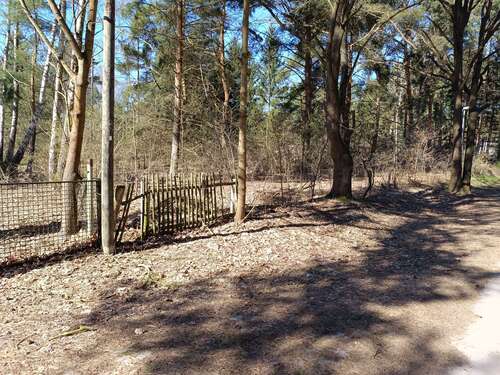 Foto - Grundstück zu verkaufen in Mittenwalde OT Töpchin 447.000,00 € 3593 m²