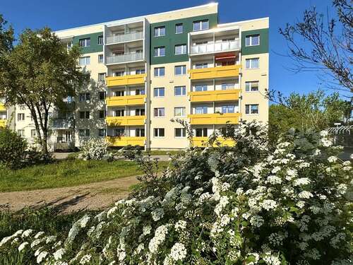Foto - Wohnung zum Mieten in Halle 376,00 € 49.51 m²