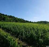 Wohnung zum Mieten in Stuttgart 1.380,00 € 99.54 m²