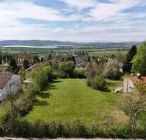 Grundstück zu verkaufen in Salem 475.000,00 € 1581 m²