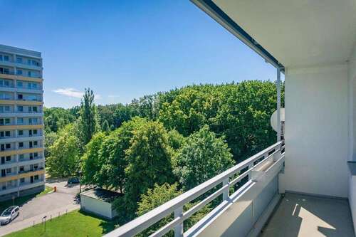 Foto - Wohnung zum Mieten in Chemnitz 227,00 € 36.08 m²