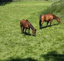 Haus zum Kaufen in Hünstetten 249.000,00 € 125 m²
