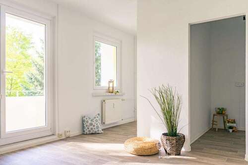 Foto - Wohnung zum Mieten in Chemnitz 215,00 € 35.76 m²