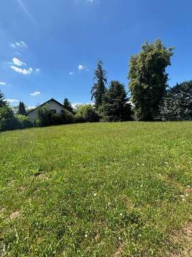 Foto - Grundstück zu verkaufen in Renchen Ulm 320.000,00 € 1276 m²
