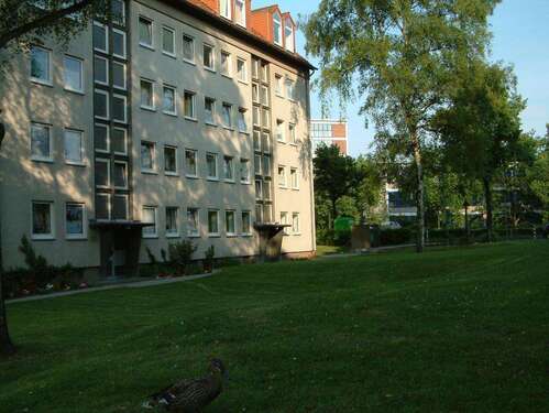 Foto - Wohnung zum Mieten in Düsseldorf 554,00 € 42.35 m²