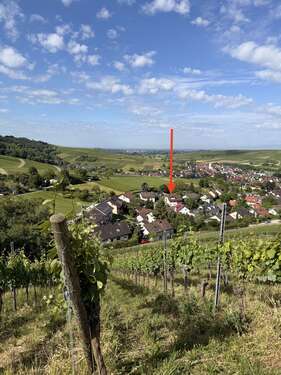 Foto - Wohnung zum Kaufen in Pfaffenweiler 699.000,00 € 140 m²