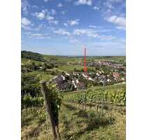 Wohnung zum Kaufen in Pfaffenweiler 699.000,00 € 140 m²