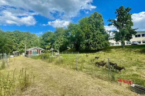 Foto - Grundstück in Chemnitz 97.000,00 € 2644 m²