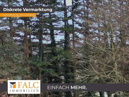 Foto - Haus zum Kaufen in Mömbris-Niedersteinbach 1.450.000,00 € 220 m²