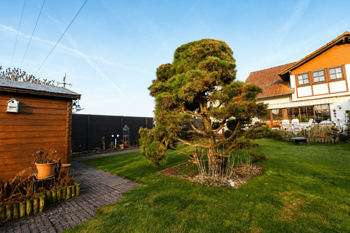 Foto - Haus zum Kaufen in Babenhausen 498.000,00 € 120.23 m²