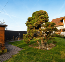 Haus zum Kaufen in Babenhausen 498.000,00 € 120.23 m²