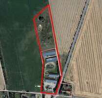 Halle in Gardelegen 450.000,00 € 2697 m²