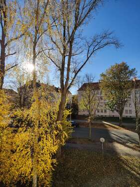 Foto - Wohnung zum Mieten in Zwickau 270,00 € 42 m²