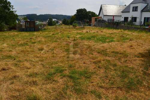 Foto - Grundstück zu verkaufen in Arzfeld 150.000,00 € 1234 m²
