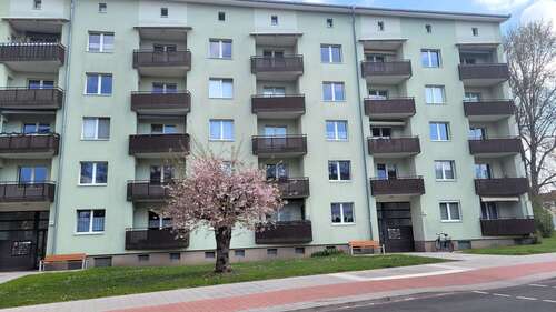 Foto - Wohnung zum Mieten in Calbe (Saale) 350,00 € 60 m²