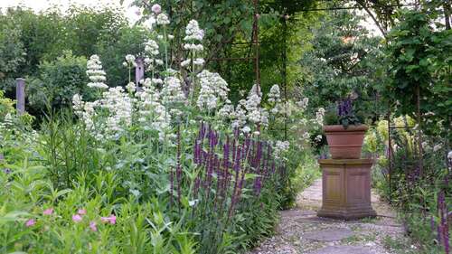 Foto - Grundstück zu verkaufen in Nottuln 289.000,00 € 590 m²