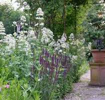 Grundstück zu verkaufen in Nottuln 289.000,00 € 590 m²