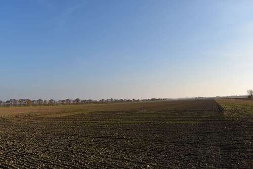 Foto - Grundstück zu verkaufen in Wiedemar 115.000,00 € 1476 m²