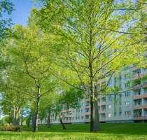 Wohnung zum Mieten in Chemnitz 443,00 € 69.93 m²