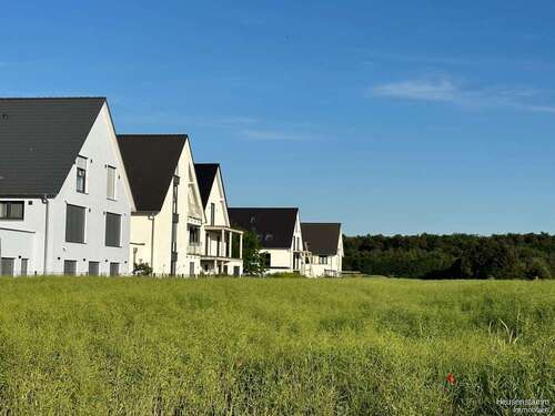 Foto - Grundstück zu verkaufen in Heusenstamm 398.000,00 € 708 m²
