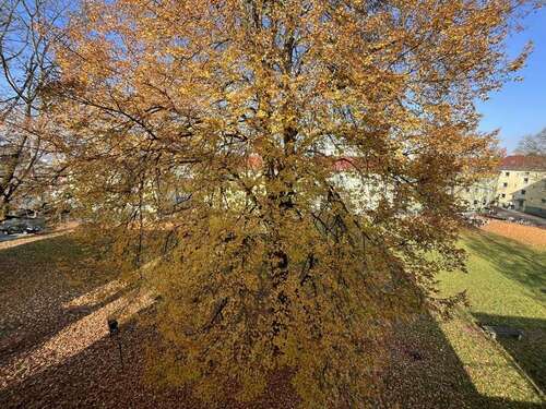 Foto - Wohnung zum Kaufen in Regensburg 270.000,00 € 64.35 m²