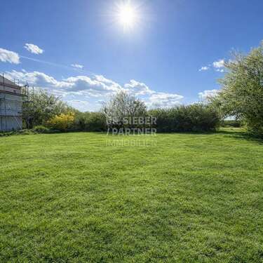 Foto - Grundstück zu verkaufen in Machern 165.000,00 € 1489 m²