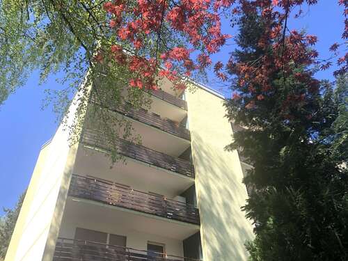 Foto - Wohnung zum Kaufen in Bad Wildbad 67.000,00 € 39.93 m²