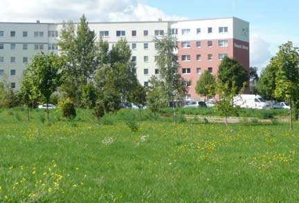 Foto - Wohnung zum Mieten in Halle (Saale) 341,76 € 56.96 m²