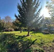 Grundstück zu verkaufen in Sachsen - Arnsdorf 79.000,00 € 490 m²