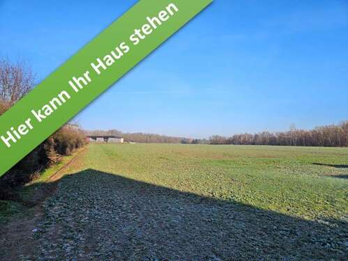 Foto - Haus zum Kaufen in Velpke 401.250,00 € 130 m²
