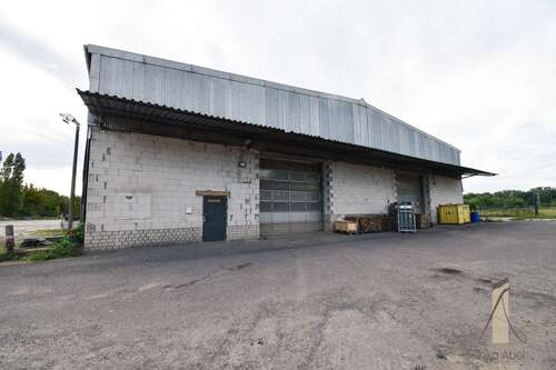 Foto - Halle in Burg 3.800,00 € 1900 m²